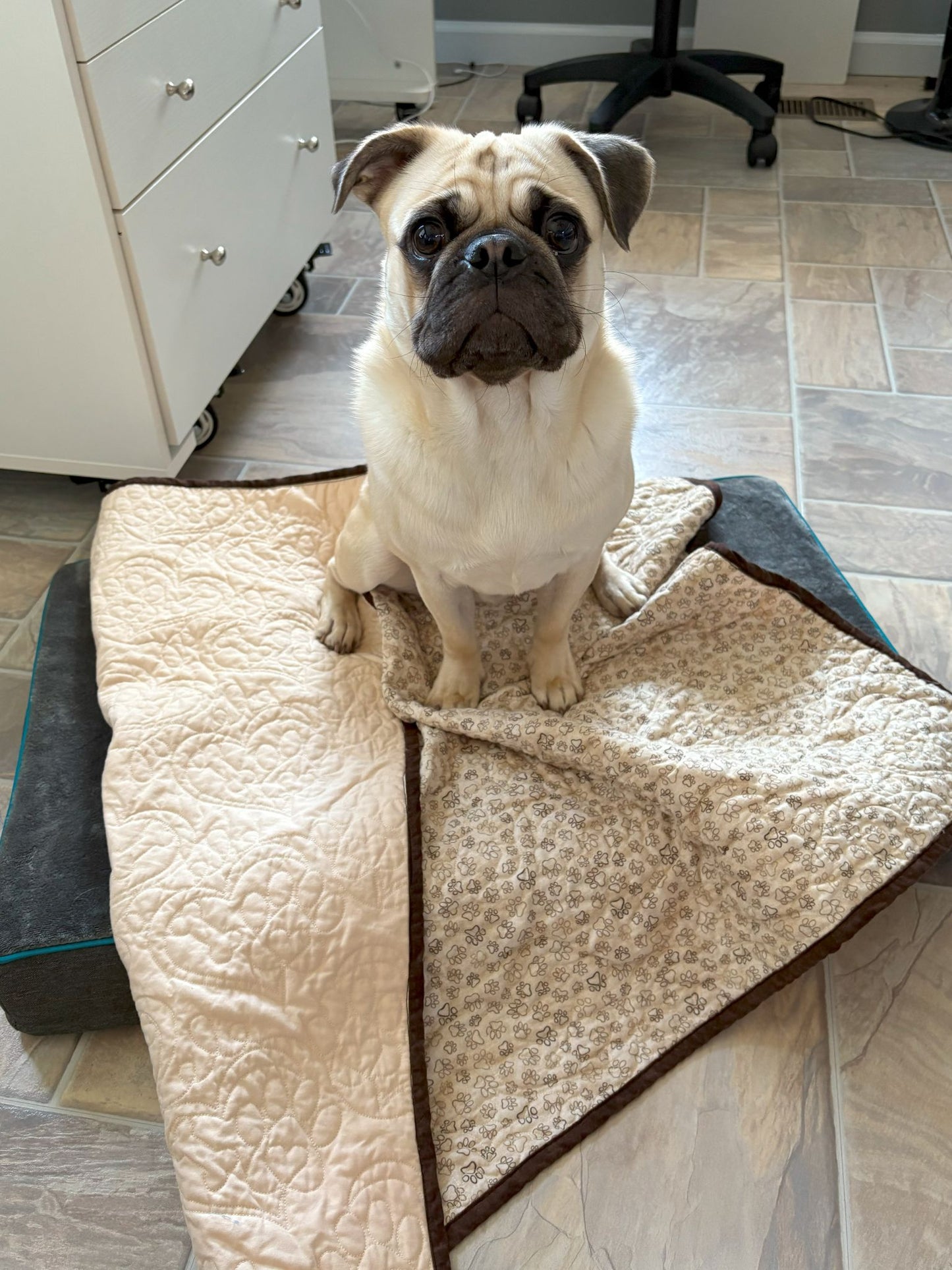 Brown/Tan paw print puppy quilt - 38"x32" Pet Quilt