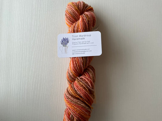 Handspun Yarn, 100% wool - chain ply fingering weight - Autumn Colors - 150 yds