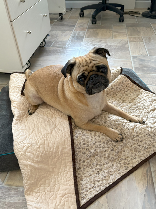 Brown/Tan paw print puppy quilt - 38"x32" Pet Quilt